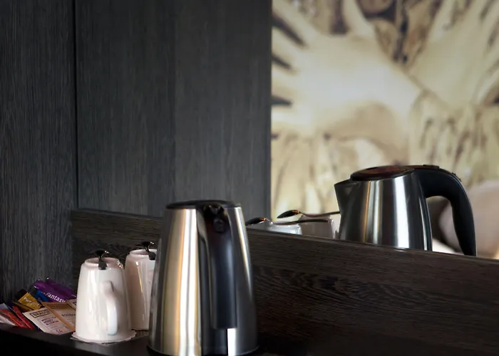 Skotel Amsterdam, Hotelschool The Hague Hotel 3*